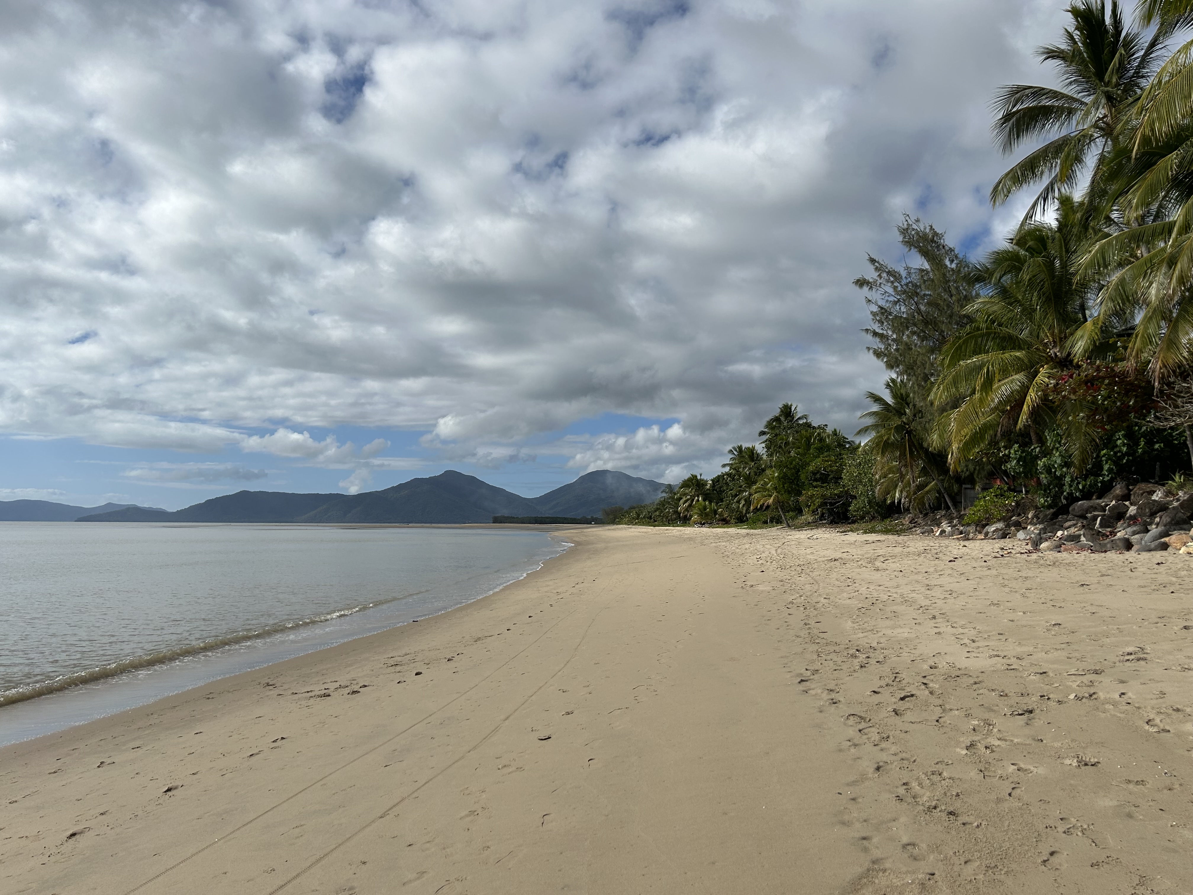 The Beach - peaceful tropical shoreline in Cairns